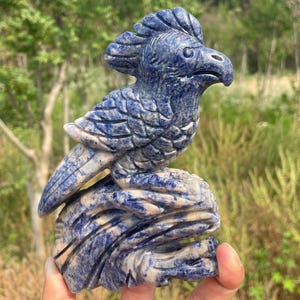 5.7&#39;&#39;+Natural Sodalite Parrot skull,quartz crystal,hand carved,Crystal bird Skull,Home Decoration Crystal Gifts YW-2