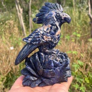 5.7&#39;&#39;+Natural Sodalite Parrot skull,quartz crystal,hand carved,Crystal bird Skull,Home Decoration Crystal Gifts YW-1