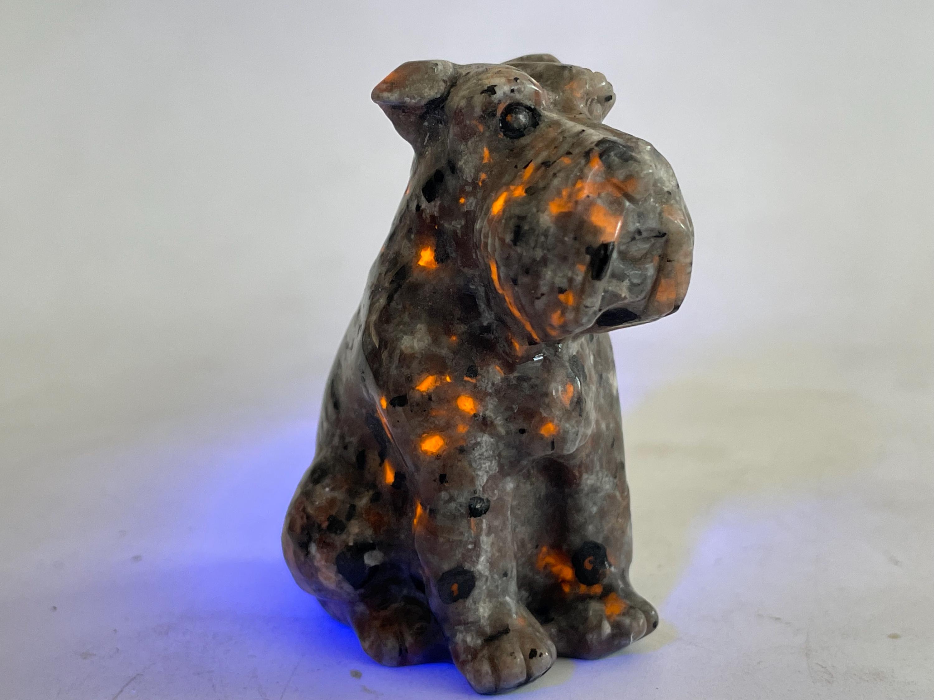 ユーパーライト犬の頭蓋骨彫刻：天然水晶、2.2インチ - Etsy 日本