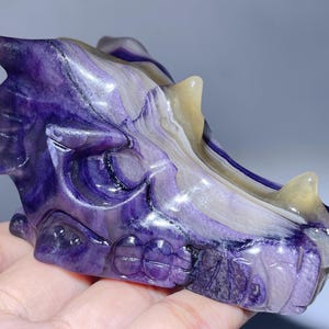 Fluorite Dragon Skull: Natural Quartz Crystal Carving, 3.7&quot;