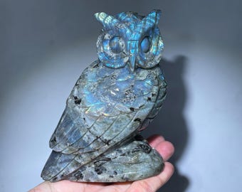 May include: A carved owl figurine made of iridescent labradorite stone. The owl has detailed feather and eye carvings, with a color palette of blues, grays, and hints of green. The figurine is perched on a stone base.