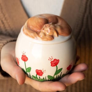 May include: A cream-colored ceramic jar with a sleeping orange cat figurine on top. The jar is decorated with red flower illustrations and green leaves. The jar is held in open hands.