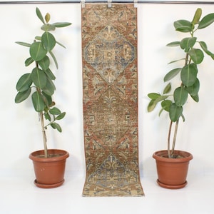 May include: A vintage runner rug with a brown, beige, and blue geometric pattern. The rug is hanging from a rod and is flanked by two potted plants.