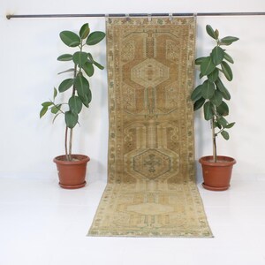 May include: A long, rectangular, beige and green patterned rug hangs from a black rod. The rug has a geometric design with a central medallion. Two potted plants are on either side of the rug.
