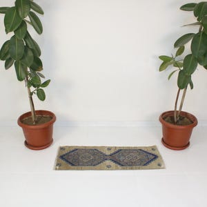 May include: A small, rectangular rug with a blue and beige geometric pattern. The rug is placed on a white floor between two potted plants.