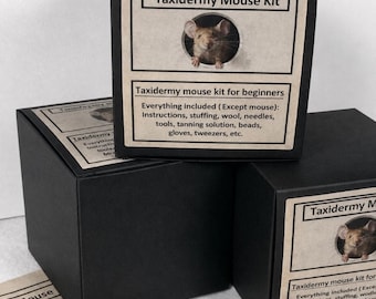 Taxidermieset voor beginners - alles inbegrepen.