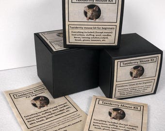 10x 30x40 cm Maus Tier Schablonen Kit für Anfänger