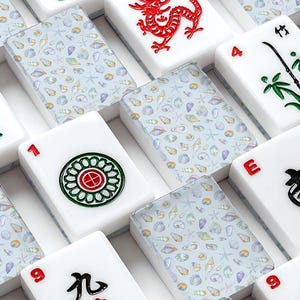 Seashell Mahjong Tile Set 166 Pieces, Acrylic American Mahjong Tiles with Jokers, Complete Game Set with Organizer, Coastal Chic Decor image 1