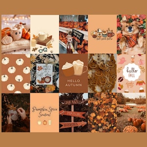 May include: A collage of autumnal images featuring pumpkins, coffee, and baked goods. Text includes "Pumpkins for Sale," "Fall Sweet Fall," "Hello Autumn," "Hello Fall," and "Pumpkin Spice Season!" Also, a sign for a corn maze.