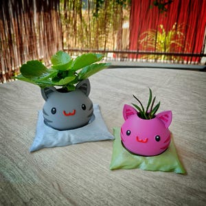 Pode incluir: Duas floreiras em forma de gato, uma cinzenta e outra rosa, cada uma com uma pequena planta. A floreira cinzenta assenta numa almofada azul clara, e a rosa numa almofada verde. Ambas as floreiras têm um design de desenho animado.
