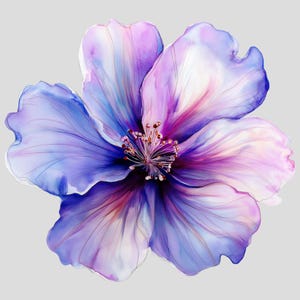 5 imágenes prediseñadas de flores violetas png / jpeg, imágenes prediseñadas de acuarela, regalo de flores de nacimiento, imágenes prediseñadas de primavera, imágenes prediseñadas de boda / invitación, estampado de flores de nacimiento
