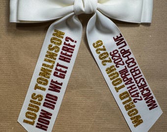 Louis Tomlinson How Did We Get Here Tour inspired Custom Concert Hair Bow Clip