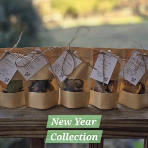 Simmer Pot Multipack Winter Home Fragrance Gift Set, Locally Sourced, set of 5 NY Collection
