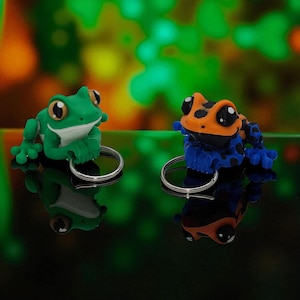 May include: Two frog keychains. One is green with a white belly and the other is orange and black with blue spots. Both have large eyes and are holding a silver key ring. The background is a blurred green and orange.