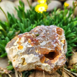 Rough Carnelian Agate, Oregon Agate, Geode Agate, 6.1 oz, Oregon Rocks, Lapiday, Translucent Agate