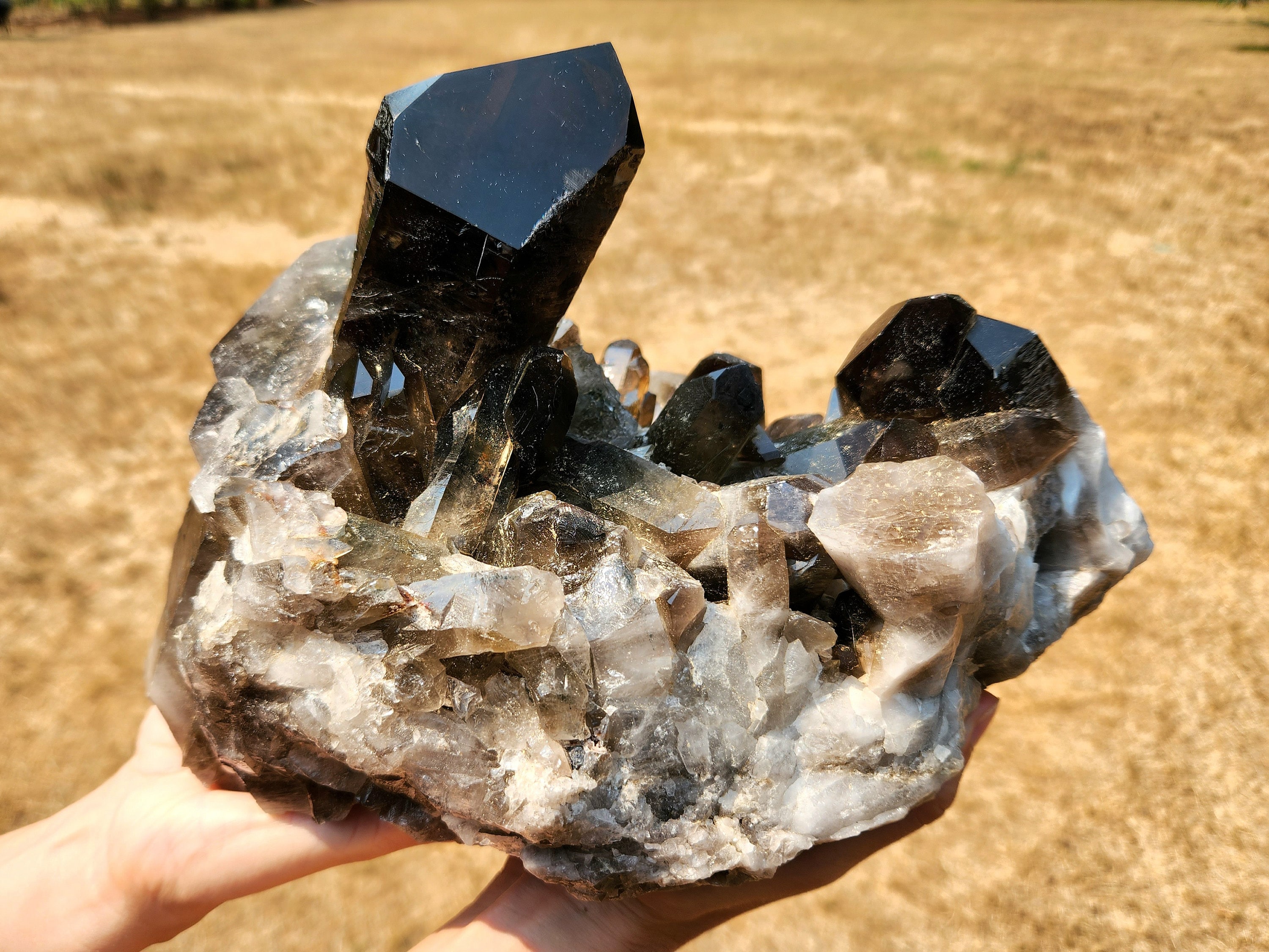 GIANT Smoky Quartz, 16 Lbs! Quartz Crystal, Large Natural Crystal