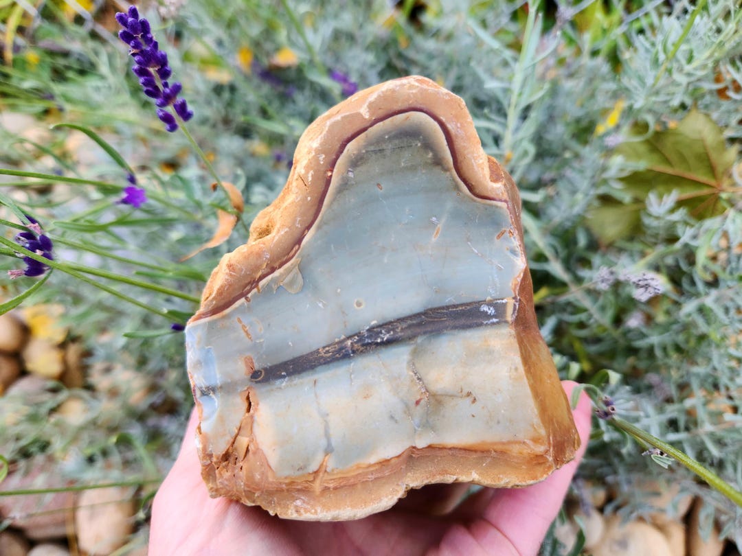 Green Chert, 4 Lb Piece, Oregon Chert, Lapidary Rough, Rough Chert ...