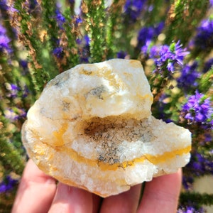 Banded Agate, Oregon Agate, Carnelian, Quartz Crystal, Oregon Rocks, Geode Agate, 8 oz