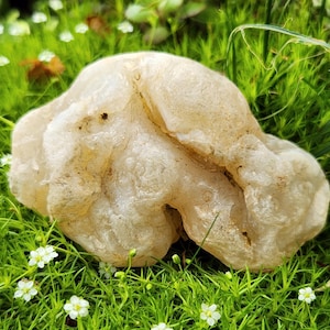 May include: A translucent, off-white, irregularly shaped mineral specimen with a bumpy, crystalline texture. The stone features a semi-glossy surface with subtle variations in opacity and small natural crevices across its uneven, organic form.