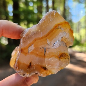 Fortification Agate, Carnelian Banding, Oregon River Agate, Druzy Crystals, Agate, Chalcedony, Crystal, Mineral, Rock