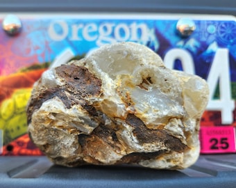 Large Oregon Agate, Fractured Membrane Agate, 1 lb 8 oz, Chalcedony, Translucent Agate, Oregon Rocks, Minerals