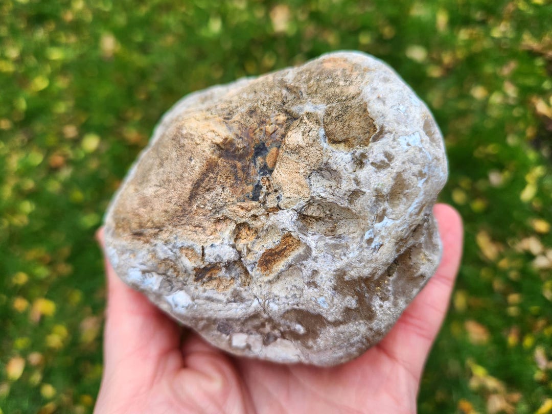 Large Oregon River Agate, 1 Lb & 15 Oz, Translucent Rough Agate ...