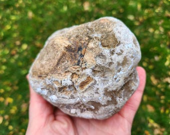 Large Oregon River Agate, 1 lb & 15 oz, Translucent Rough Agate, Chalcedony, Mineral Inclusions