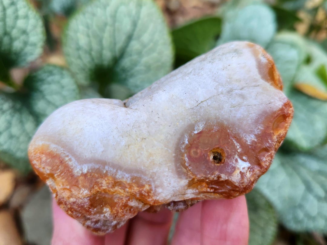 Oregon Carnelian Agate With Quartzsite, 9.6 Oz, Rough Agate, Carnelian ...