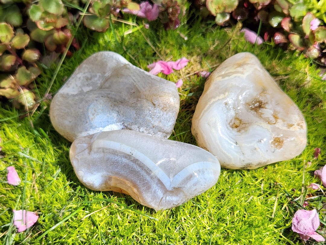 Rosted Rocks 3 White Oregon Coast Agates, Banded White Agates, Frosted Oregon Agates ...