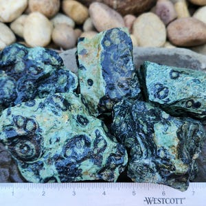 May include: Several rough, raw pieces of green and black orbicular rhyolite stone are arranged together. A white Westcott ruler is positioned at the bottom, showing the stones span approximately 7 inches in width across the base of the collection.