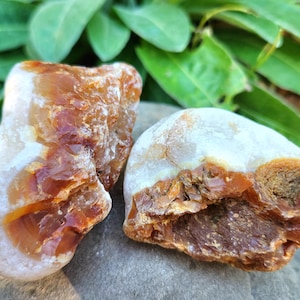 May include: Two polished gemstones with a mix of colors. One is a rounded shape, and the other is more irregular. The stones have a creamy white base with patches of orange and brown. The background features green leaves.