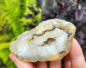 Oregon Banded Agate, 6.9 oz, Translucent Agate, Quartz Agate, Druzy Crystals, Geode Agate, Oregon, Mineral