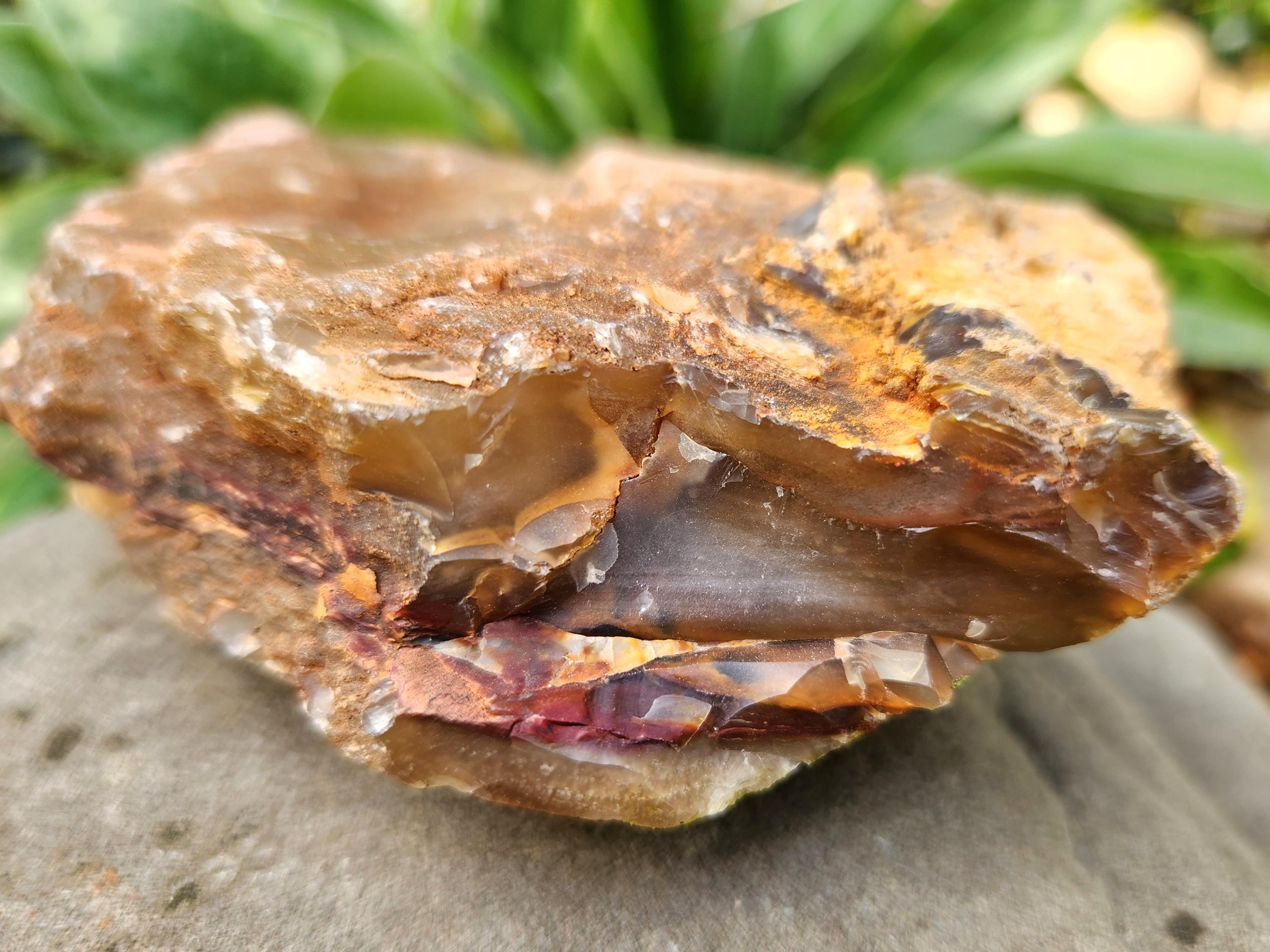 Central Oregon Rough Agate, 1 Lb 10 Oz, Lapidary, Oregon Agate ...