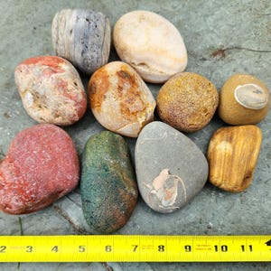 10-Piece Variety Sampling of Naturally Rounded Oregon Coast Rocks & Minerals, Agates, Jaspers, Chalcedony, Fossils, Petrified Wood, 8 lbs
