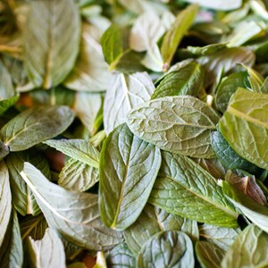 Organic Mint, Product of Canada, Dried Mint Leaves, Homegrown Herbs, Mint for Herbal Teas, Extracts, Tinctures image 7