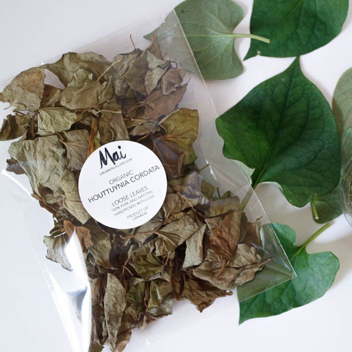 Organic Houttuynia Cordata Product of Canada Dried Leaves - Etsy