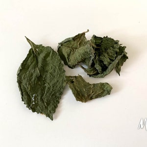 Organic Green Perilla, Shiso Leaves, Product of Canada, Dried Leaves, Homegrown Herbs zdjęcie 8