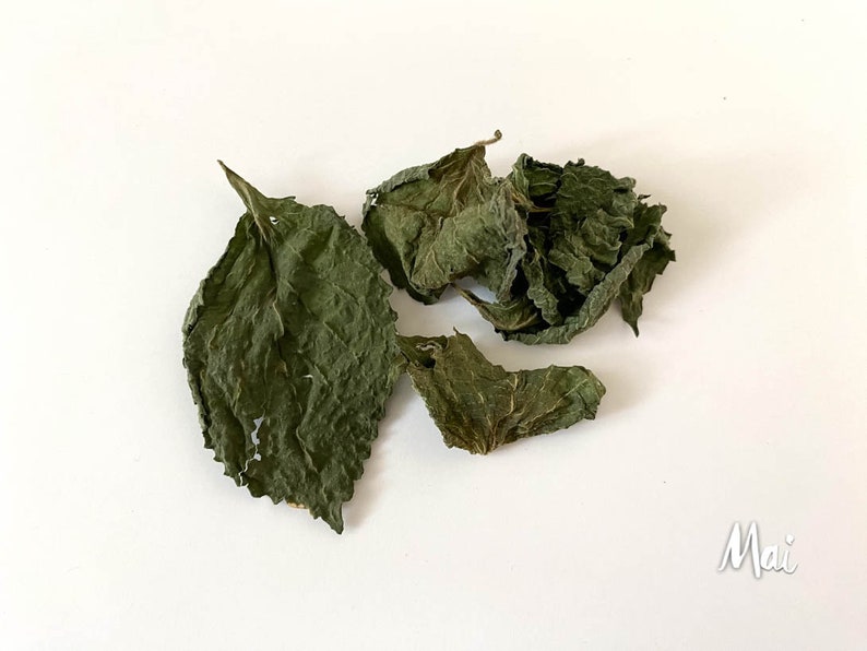 Organic Green Perilla, Shiso Leaves, Product of Canada, Dried Leaves, Homegrown Herbs zdjęcie 8