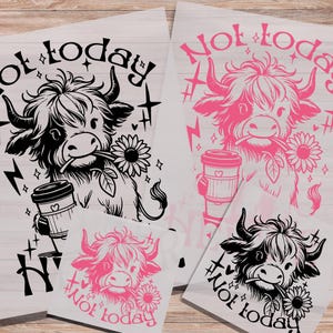 Not Today Heifer DTF Print Funny Highland Cow With Sunflower and Coffee Cup Direct to Film Transfer Cute Cow Heat Print Ready to Press