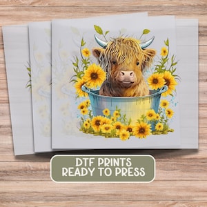 Highland Cow and Sunflower DTF Print Cute Baby Cow Setting in a Tub Direct to Film Transfer Ready to Press Farm Animal Heat Transfer