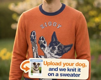 Benutzerdefinierte Haustier-Pullover | Personalisiertes Porträt & Name | Hund oder Katze Unisex Rundhalsausschnitt