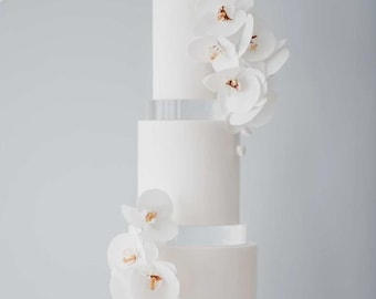 SHIPS FROM EU -  no customs charge. 30mm Round Clear Ultra Polished Acrylic Cake Spacer