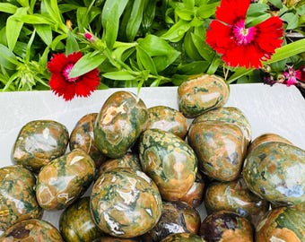 May include: A collection of polished, oval-shaped stones in shades of green, brown, and tan. The stones have a mottled appearance and are arranged together. Red flowers and green foliage are in the background.