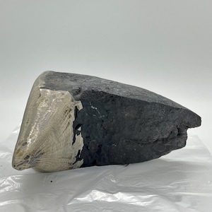 May include: A large, irregularly shaped stone with a contrasting color scheme. One end is a light beige with a textured, layered appearance, while the rest is a dark charcoal gray with a rough, uneven surface. The stone rests on a white surface.