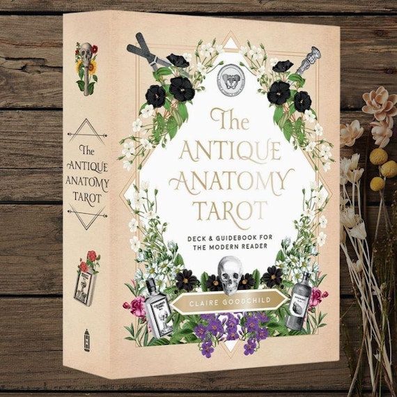 Antique Anatomy Tarot Deck | 78-Card Tarot with Guidebook | Gift Ready