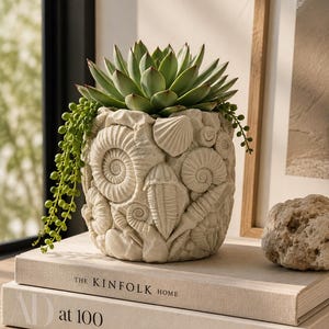 May include: A cylindrical off-white planter with a textured surface featuring relief carvings of various fossilized shells and marine life. A green succulent plant with trailing stems is planted inside the container, which sits atop two stacked books.