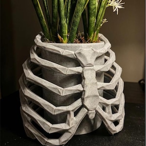 May include: A gray, 3D-printed planter shaped like a rib cage, holding a green plant with long, upright leaves and white flowers. The planter has a textured surface and a cylindrical interior. A unique decorative item.