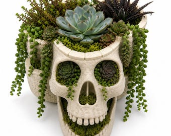 Skull garden planter - Whimsical Gothic Gift