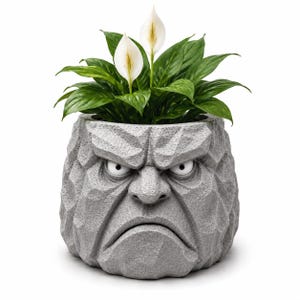 May include: A gray stone-textured planter shaped like a grumpy face with furrowed brows, a wide nose, and a downturned mouth. The planter contains a green peace lily plant with two white spathe flowers emerging from the top opening.