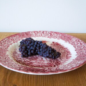 May include: A round, antique-style plate with a red and white floral and landscape pattern. A cluster of dark purple grapes rests on the plate. The plate is on a wooden surface.